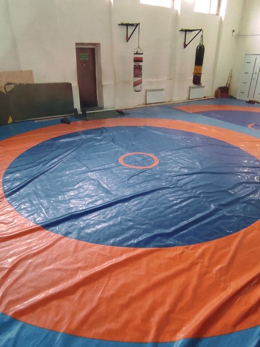 Борцовский ковер