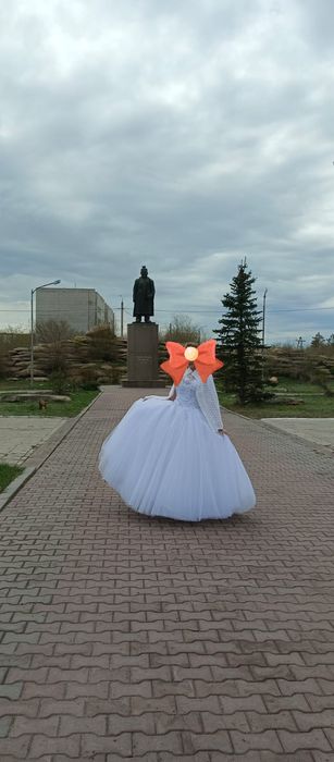 Продам свадебное платье.Очень красивое. Цена  25000.
