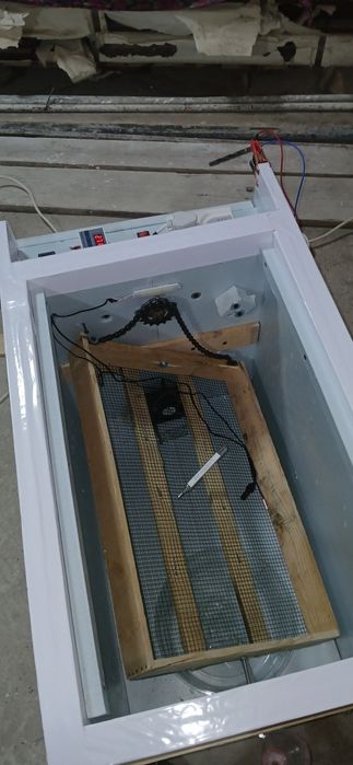 Инкубатор автомат   inkubator avtomat