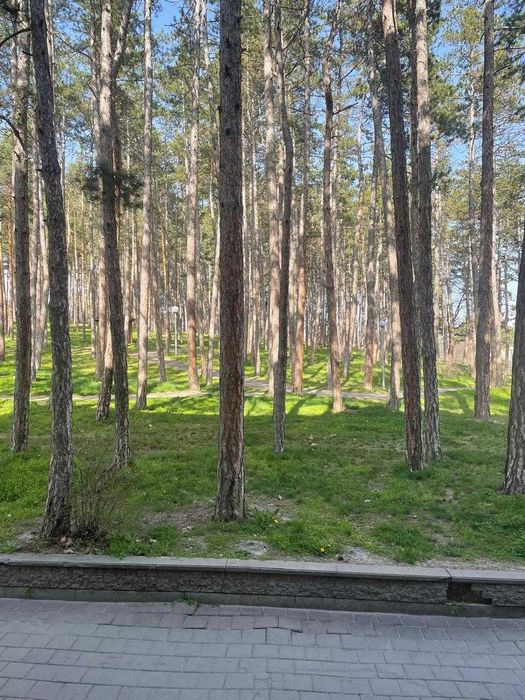 Продава се Тристаен апартамент в Велинград - 82 кв.м за 666 €/кв.м - Снимка #21