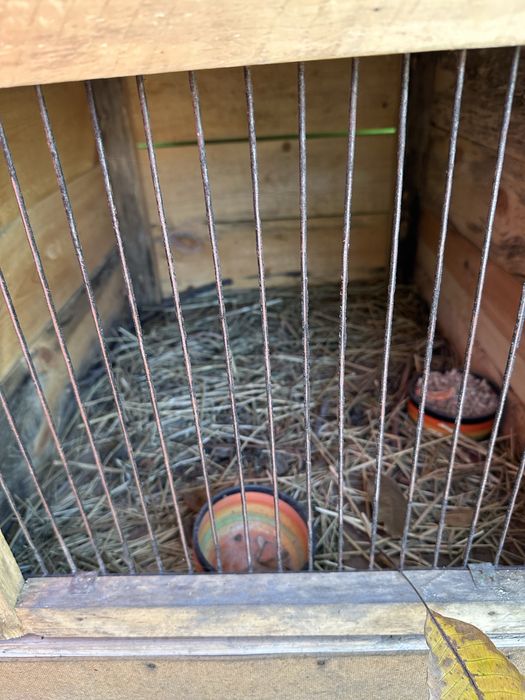 Продам клетку дя кроликов