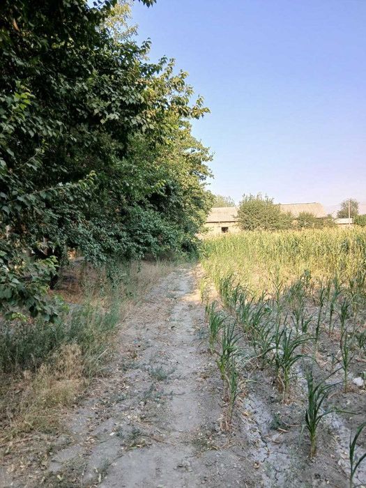 Eр cотилади уй билан биргаликда