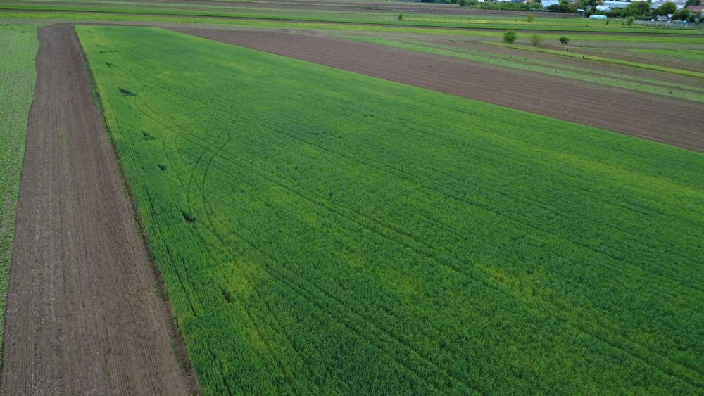 Vand teren intravilan 5200m2