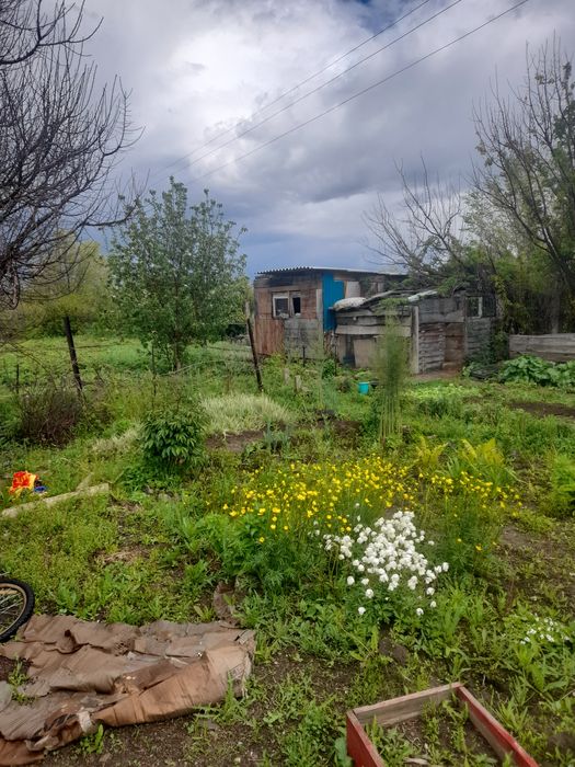 Продам дачу с/оЧерёмушки