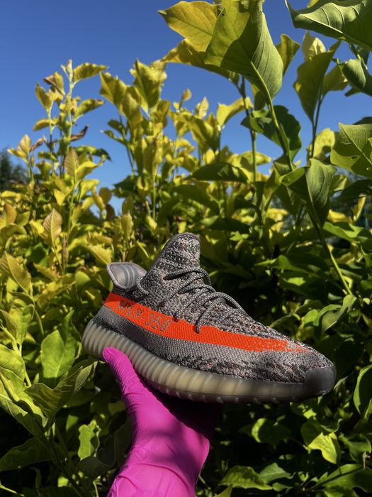 Yeezy 350 Beluga