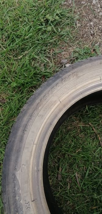 Шины всесезонные