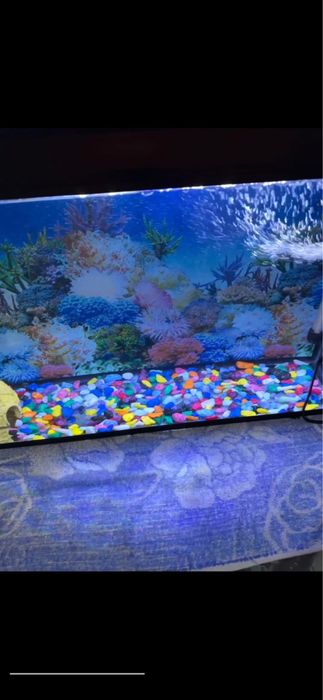 Аквариум для рыб