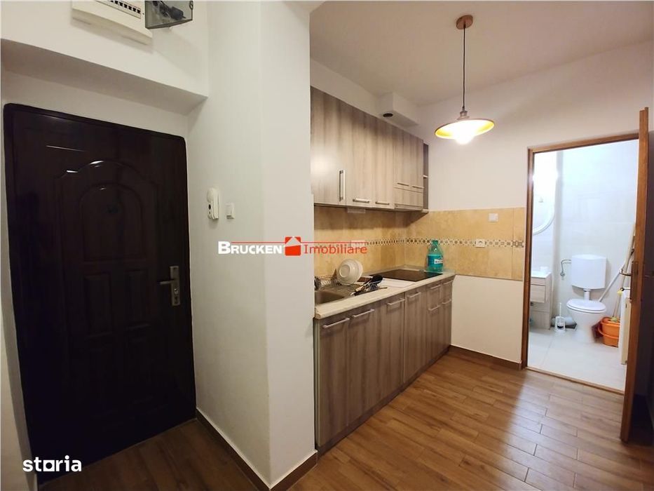 Apartament cu o camera