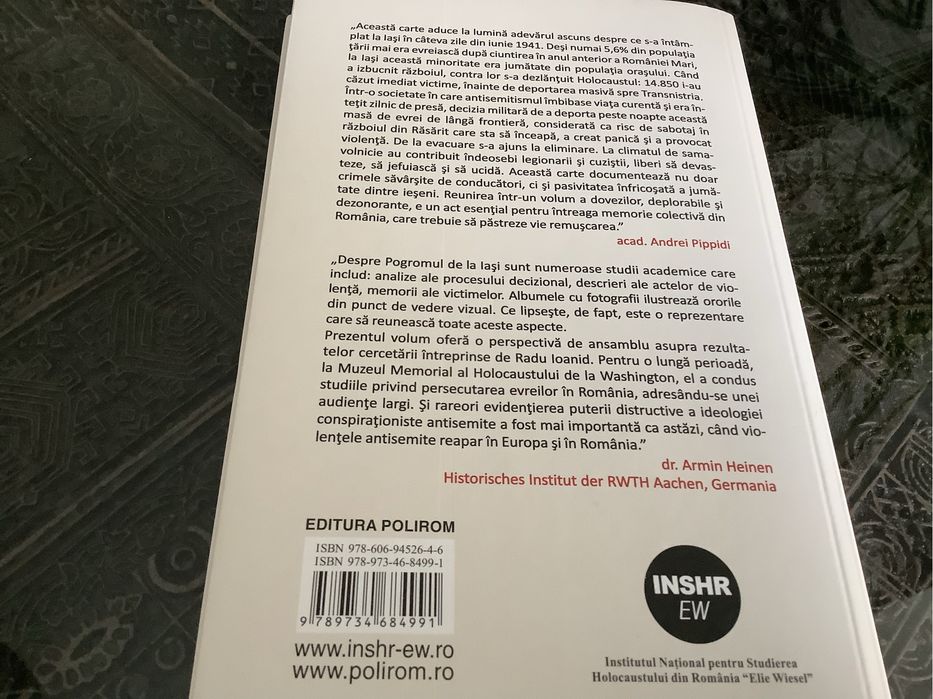 Pogromul de la Iasi, Radu Ioanid