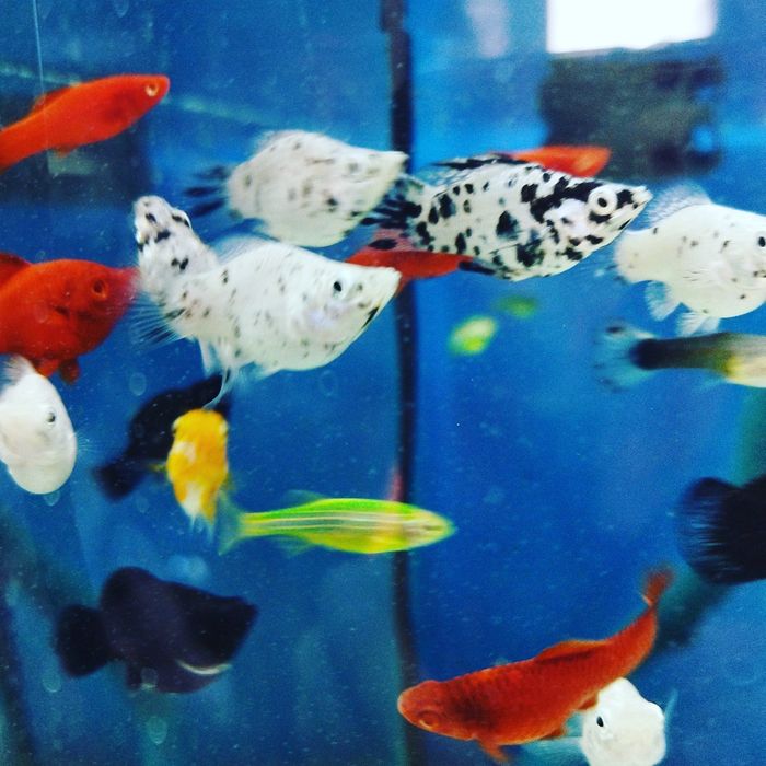 Обогреватель для воды(Навои Торайгырова)