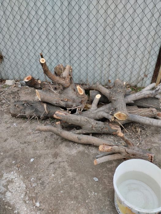 Дрова самовывоз конаев