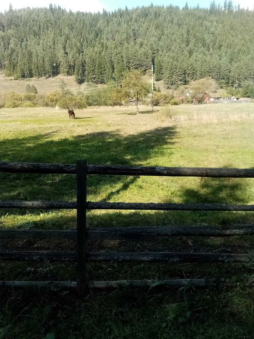 Teren intravilan in Toplita 5002mp pe str. Padureni + extravilan 1100mp (padure)