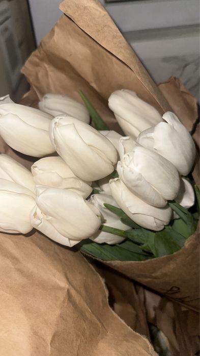 Тюльпаны алматинские крупные