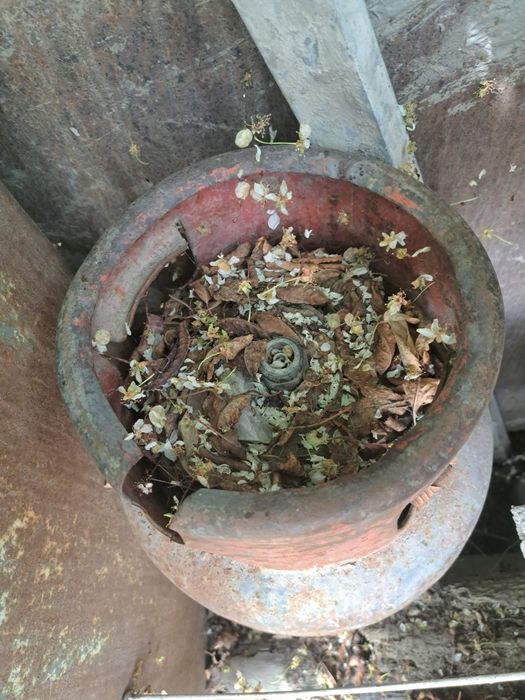 Газ істеп тұр 5мын