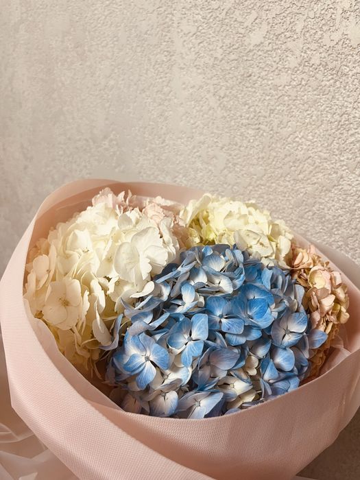 Цветы гортензия покупала сегоднч цветы свежие цена 10к