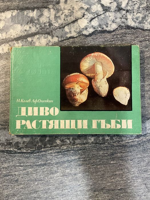 Художествена литература/ речници