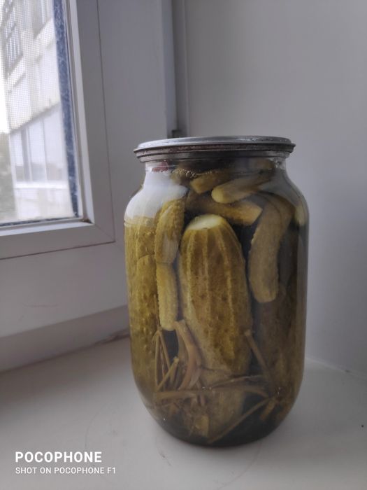 Огурцы консервированные