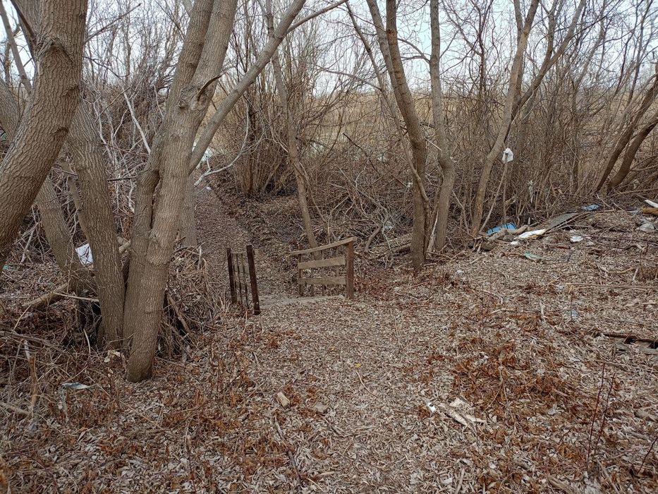 Дача на берегу Ишима