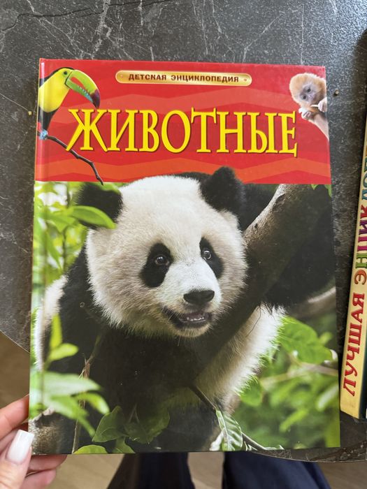 Книги и энциклопедии