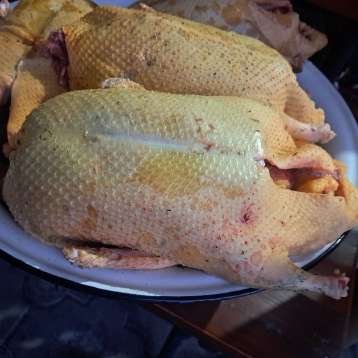 Продам домашних гусей и уток