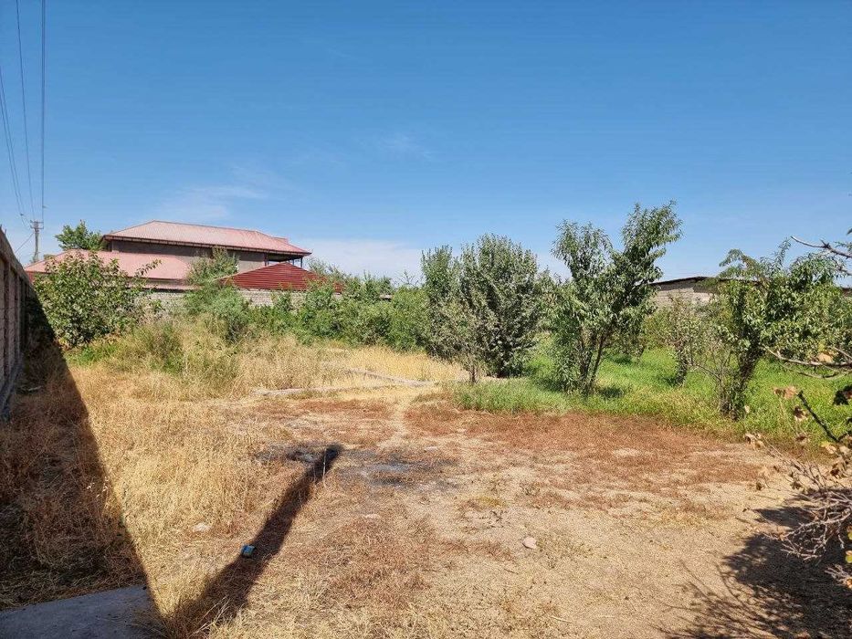 Недвижимость Земля