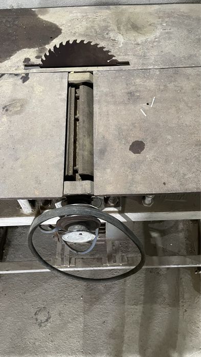 Ағаш ара, сүргісімен бірге.