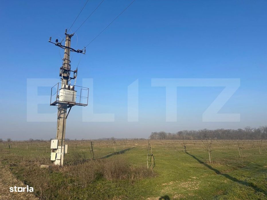 Ferma de nuci - teren agricol, zona Ivesti