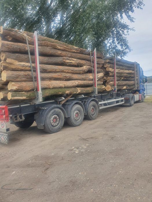 Lemn foc esenta tare / cantar electronic