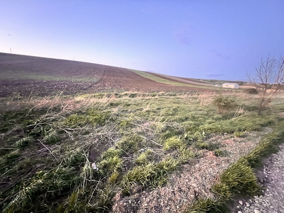 Teren deschidere 60 ml europeana