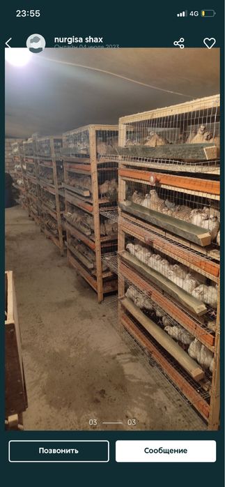 Бөденелер бар