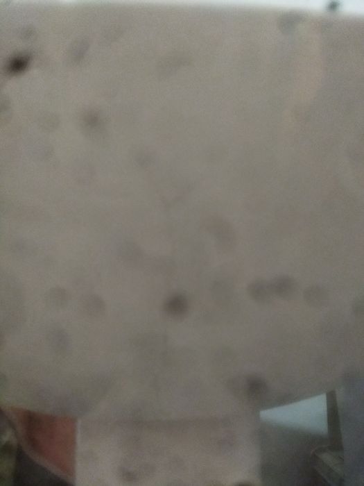 Раковина сатылады