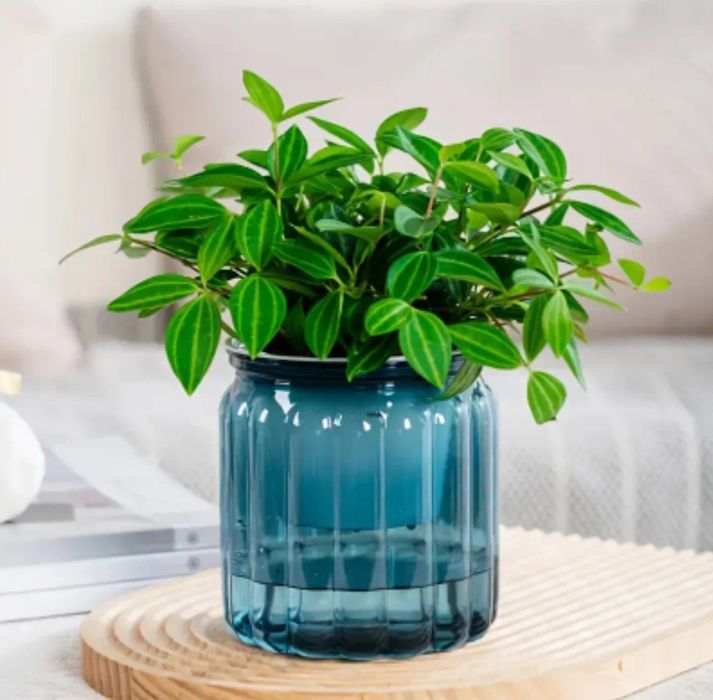 Кашпо с автополивом (фитильный полив)