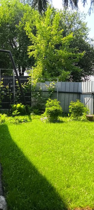 Продам дом в медеусском районе.