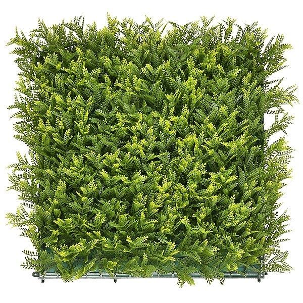 Зелена стена за декорация