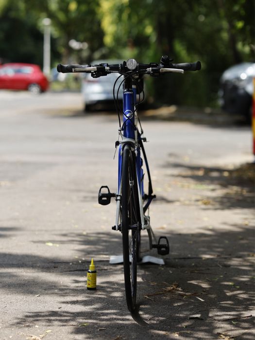 Giant Rapid 1 – Cadru Aluminiu/Furcă Carbon (mentenantă premium)