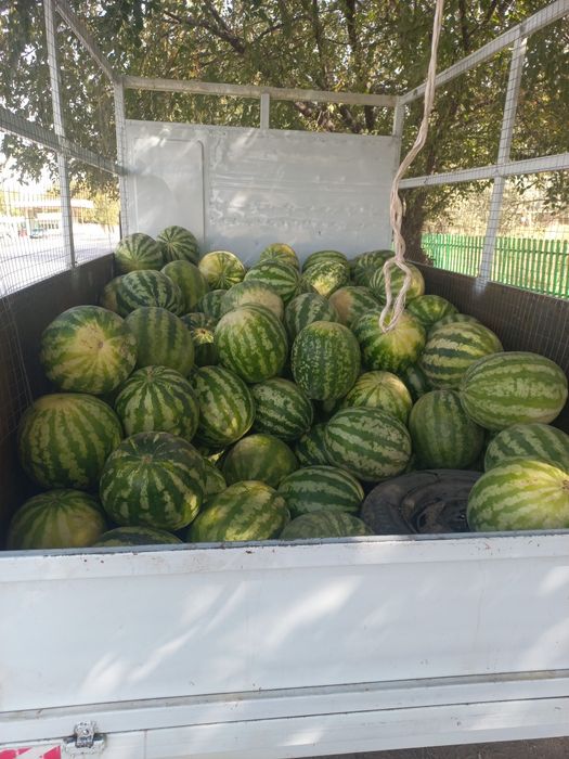 Лабо сатылады 1 тонаға дейін котереді