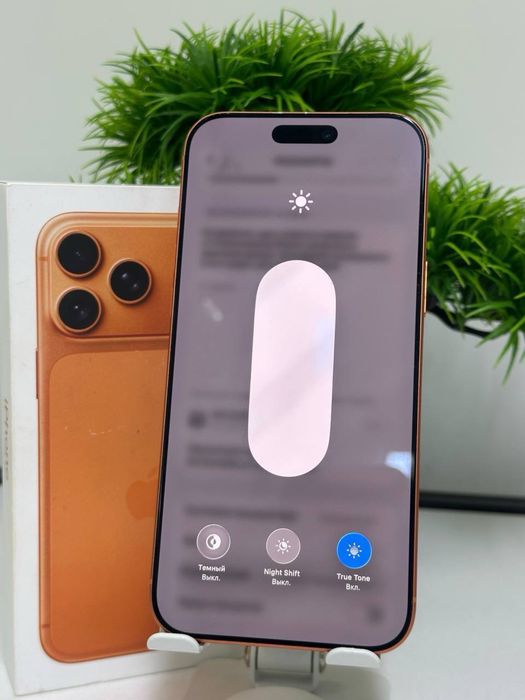 Iphone 17 pro max |256 gb| akb 100%|цп 185 | e-sim