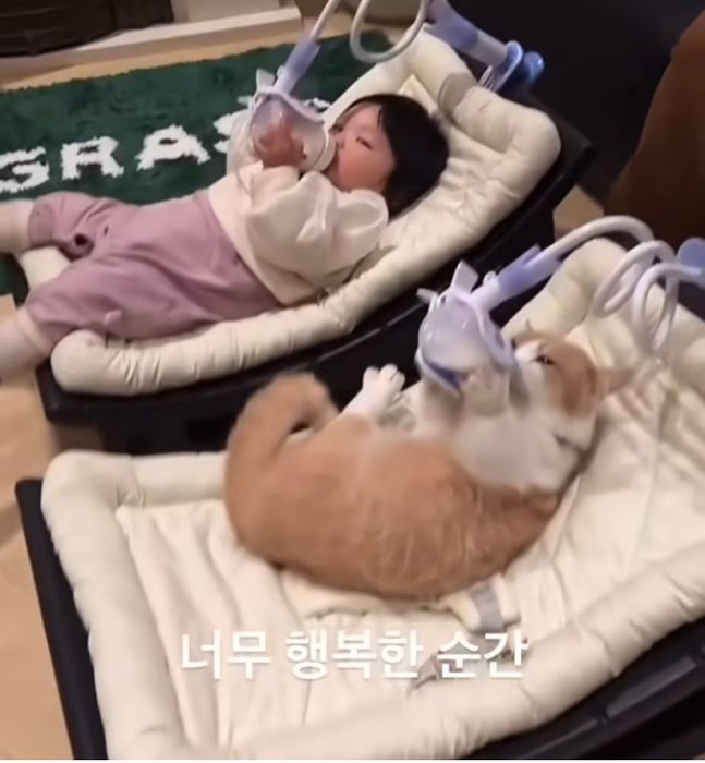 Держатель бутылочки