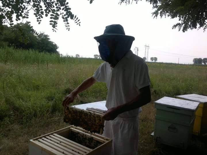 Miere bio de salcam sau poliflora