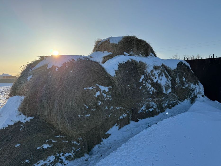 Продается сена рулонами