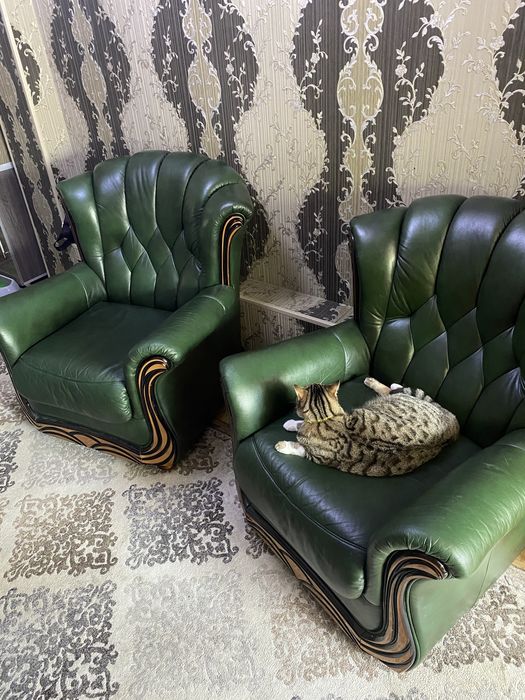 Кожаные два кресла .СРОЧНО .ЦЕНА окончательная