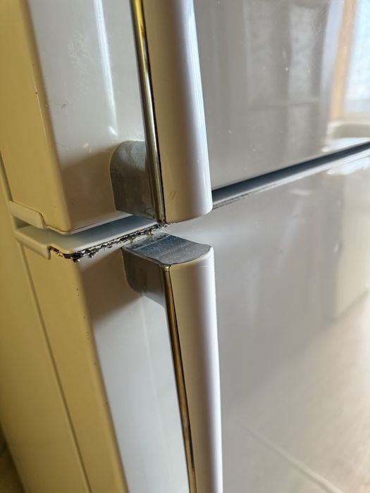 Холодильник рабочий