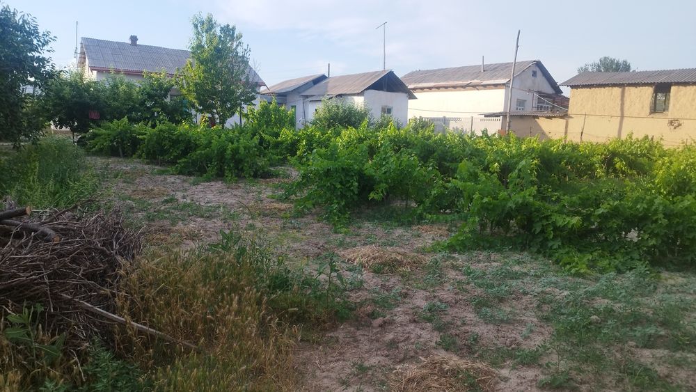 Sroshna uy sotiladi Parkent tumani Samsarak MFY Samsarak koʻchasi