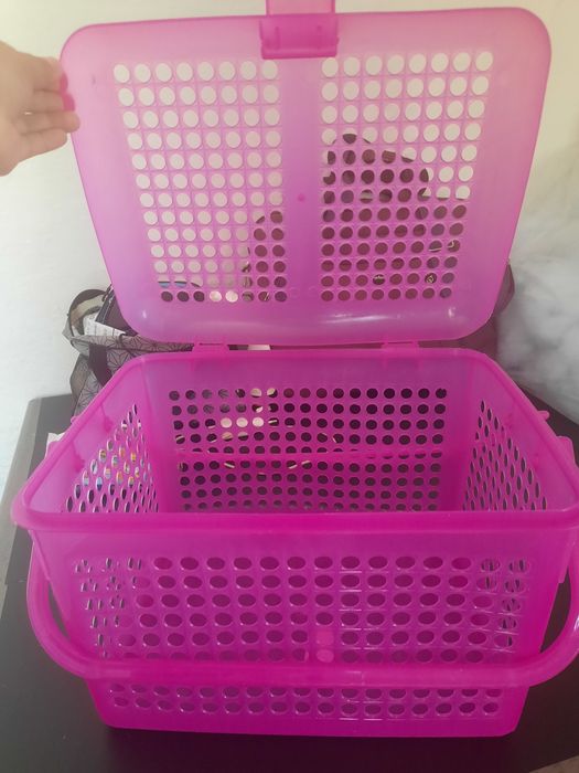 Переноска для кошек и собак