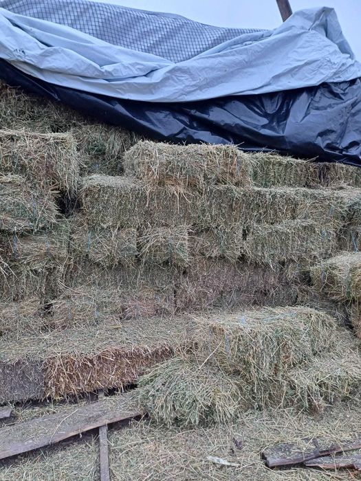 Baloti de fan, lucerna, paie si otava