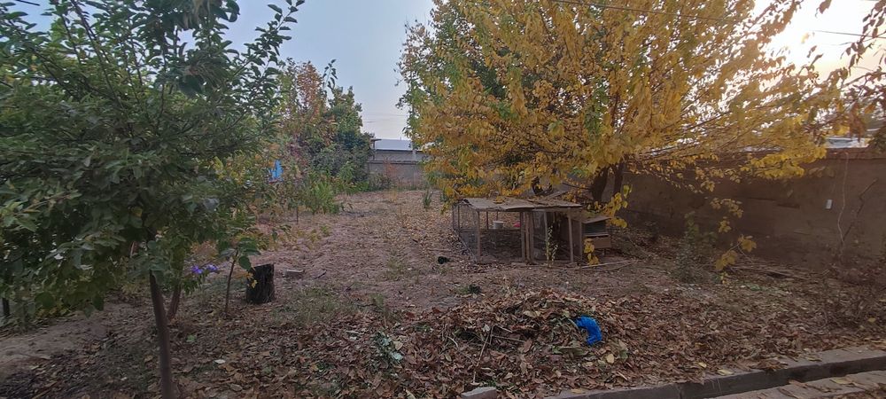 Hovli 12 sotix. Gaz svet suv bor. +2 sotix