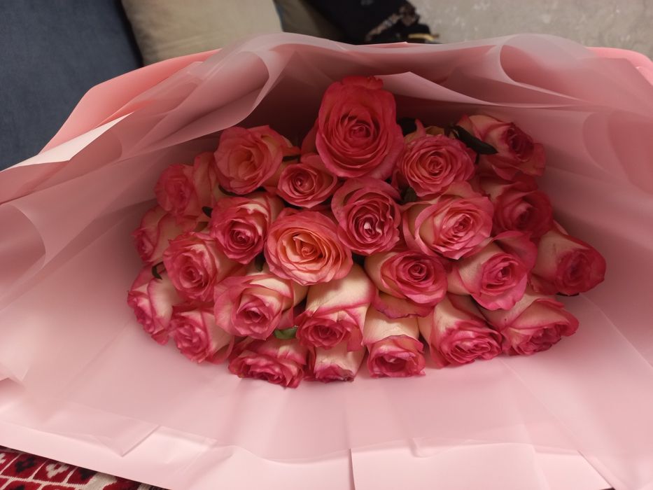 Свежий гул бугын алдык