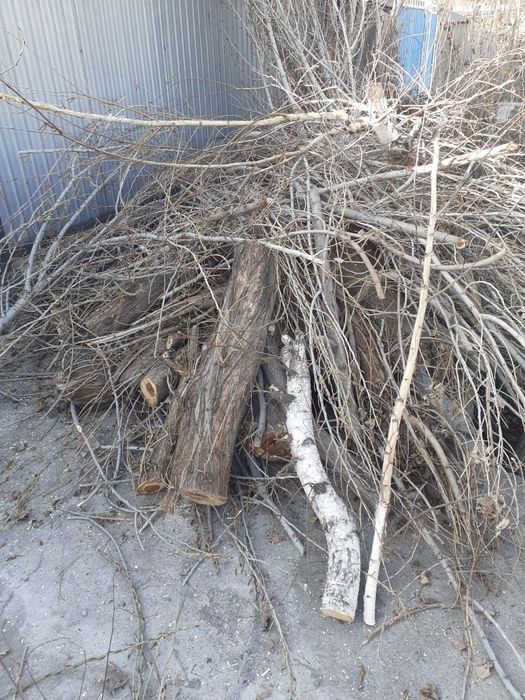 Узын агаш  кесылген отын сатлады