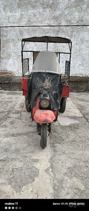 Муравей моторол.