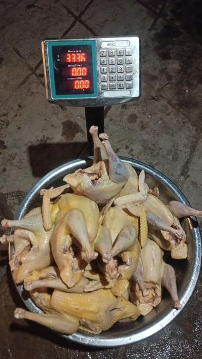 Мясо домашней птицы